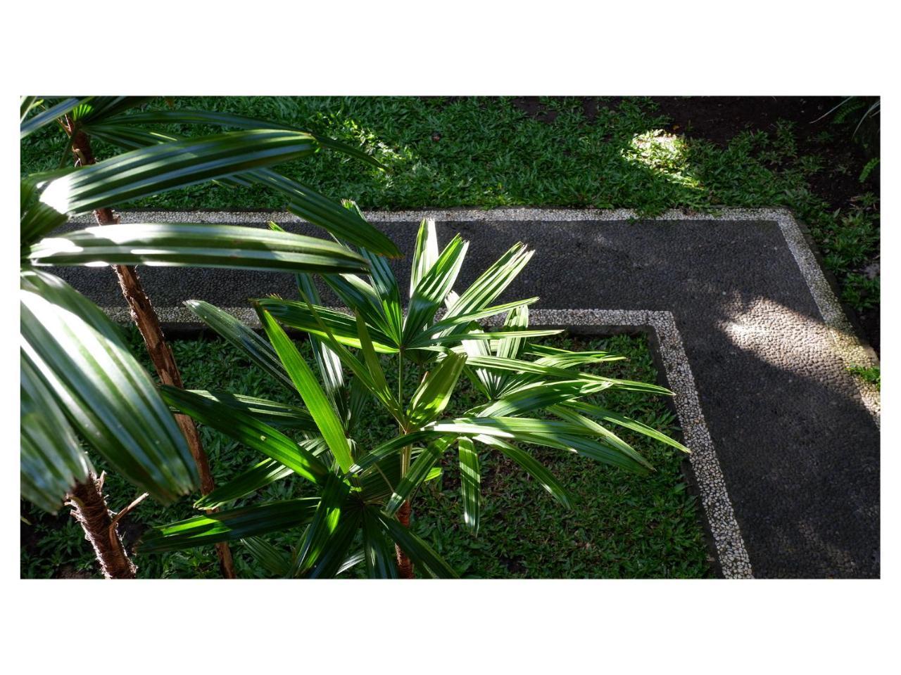 In Da Garden Apartment Ubud Exterior foto