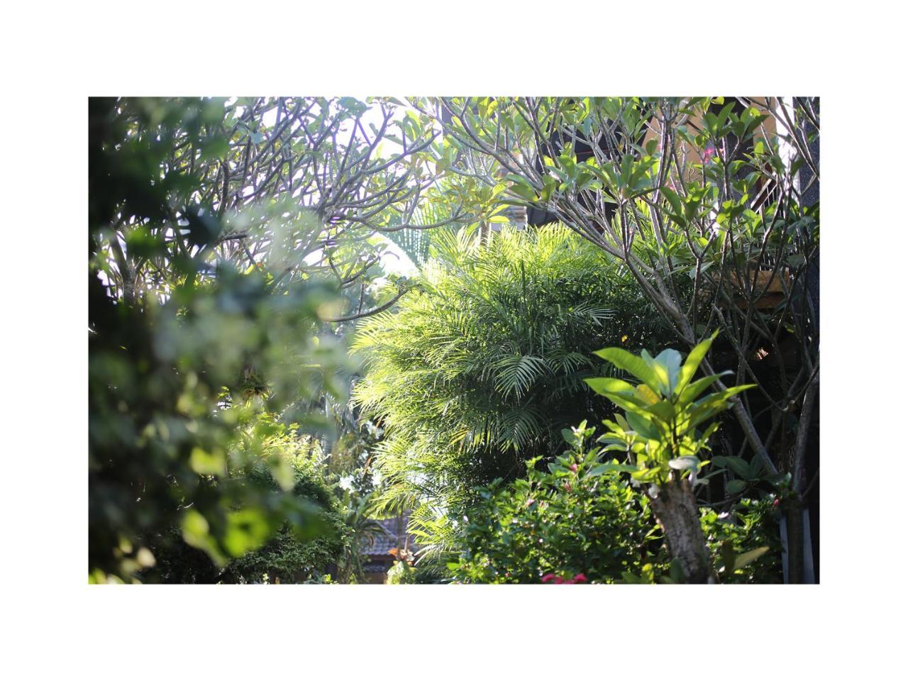 In Da Garden Apartment Ubud Exterior foto